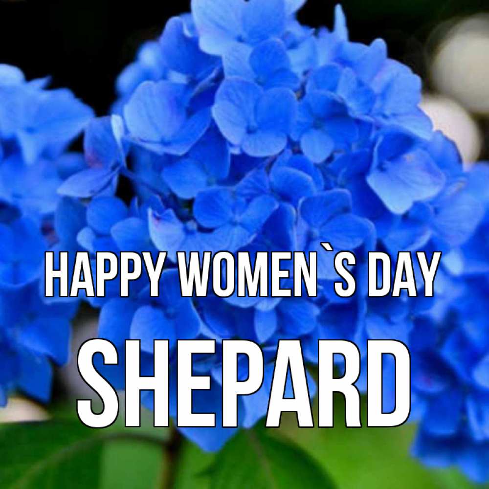 Greetings card с именем, Shepard happy women`s day синие цветы Greetings with text for free download 